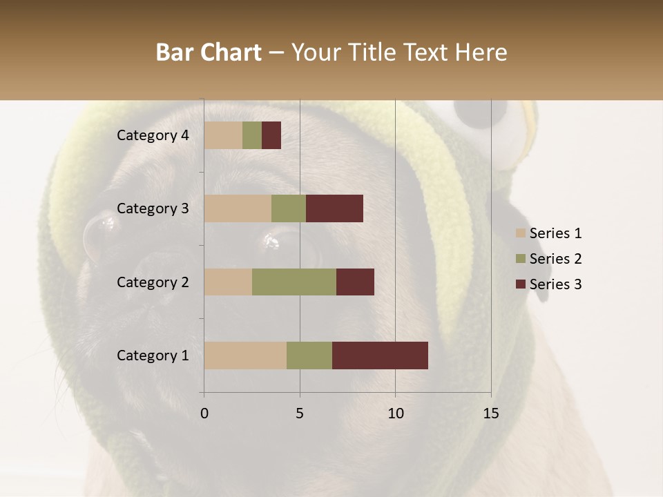 A Small Pug Dog Wearing A Towel With Eyes PowerPoint Template