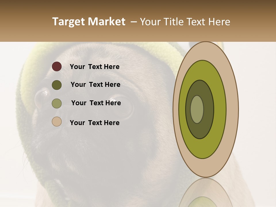 A Small Pug Dog Wearing A Towel With Eyes PowerPoint Template