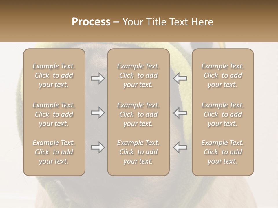 A Small Pug Dog Wearing A Towel With Eyes PowerPoint Template