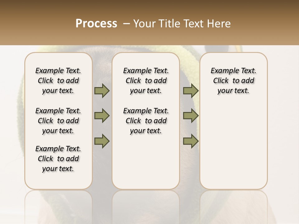 A Small Pug Dog Wearing A Towel With Eyes PowerPoint Template