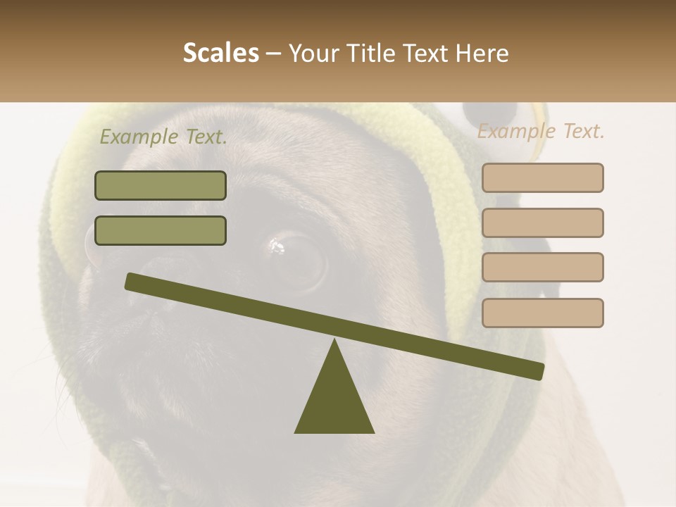 A Small Pug Dog Wearing A Towel With Eyes PowerPoint Template