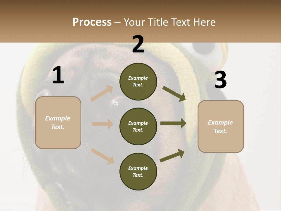 A Small Pug Dog Wearing A Towel With Eyes PowerPoint Template