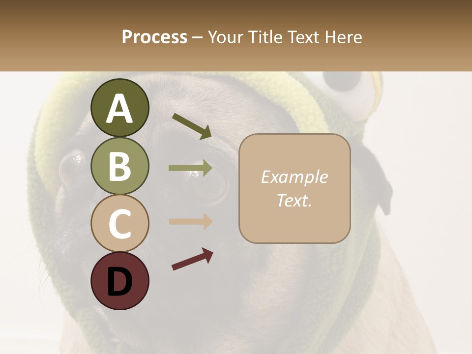 A Small Pug Dog Wearing A Towel With Eyes PowerPoint Template