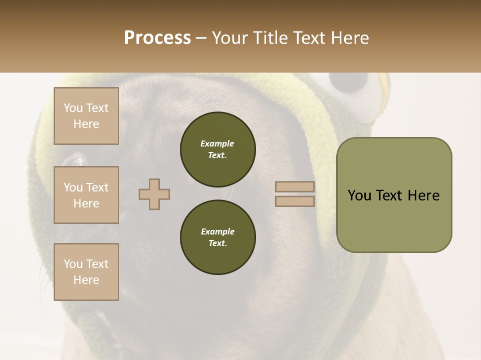 A Small Pug Dog Wearing A Towel With Eyes PowerPoint Template