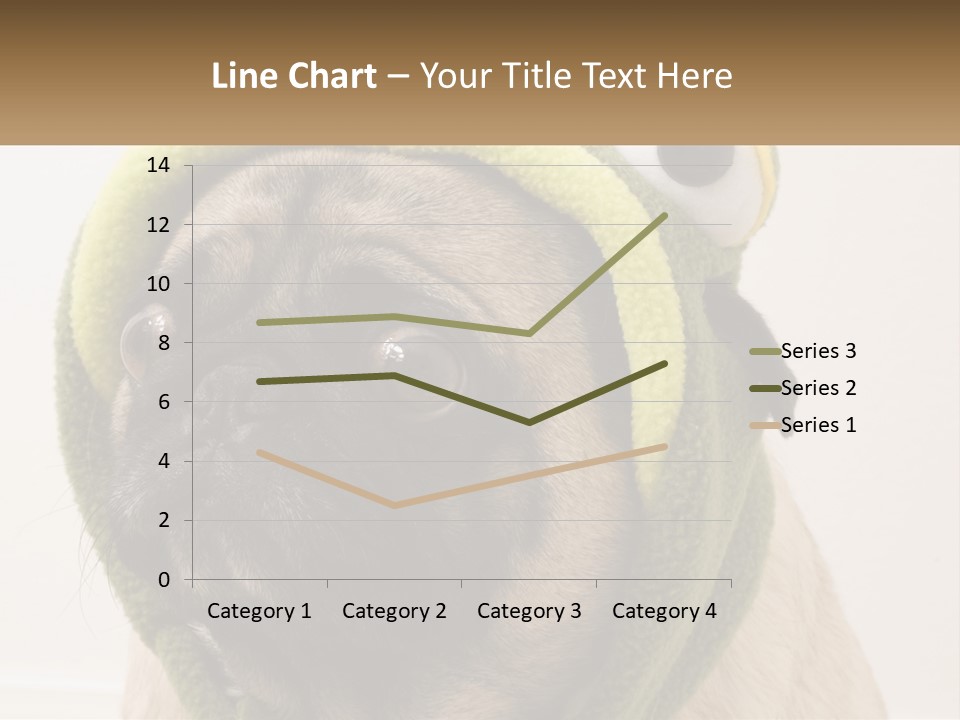 A Small Pug Dog Wearing A Towel With Eyes PowerPoint Template