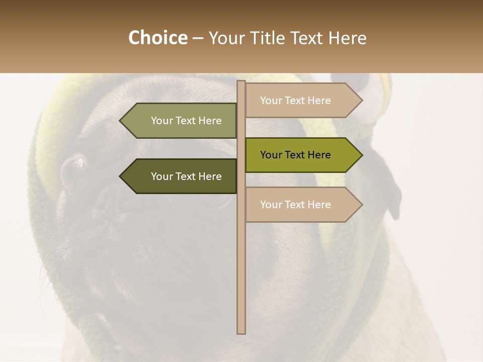 A Small Pug Dog Wearing A Towel With Eyes PowerPoint Template