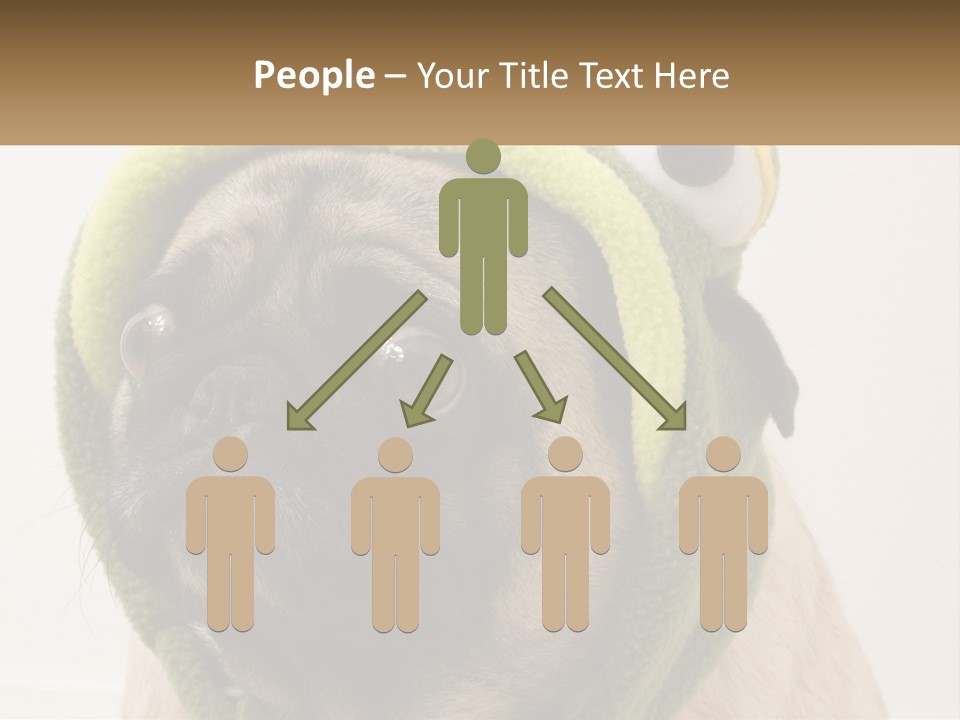 A Small Pug Dog Wearing A Towel With Eyes PowerPoint Template