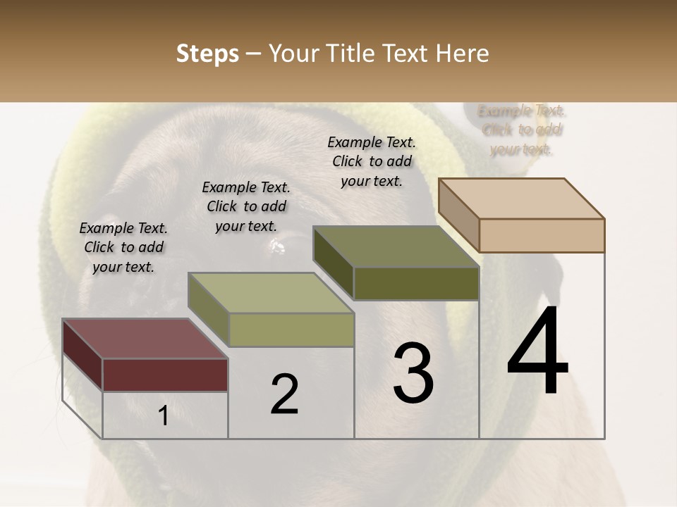 A Small Pug Dog Wearing A Towel With Eyes PowerPoint Template