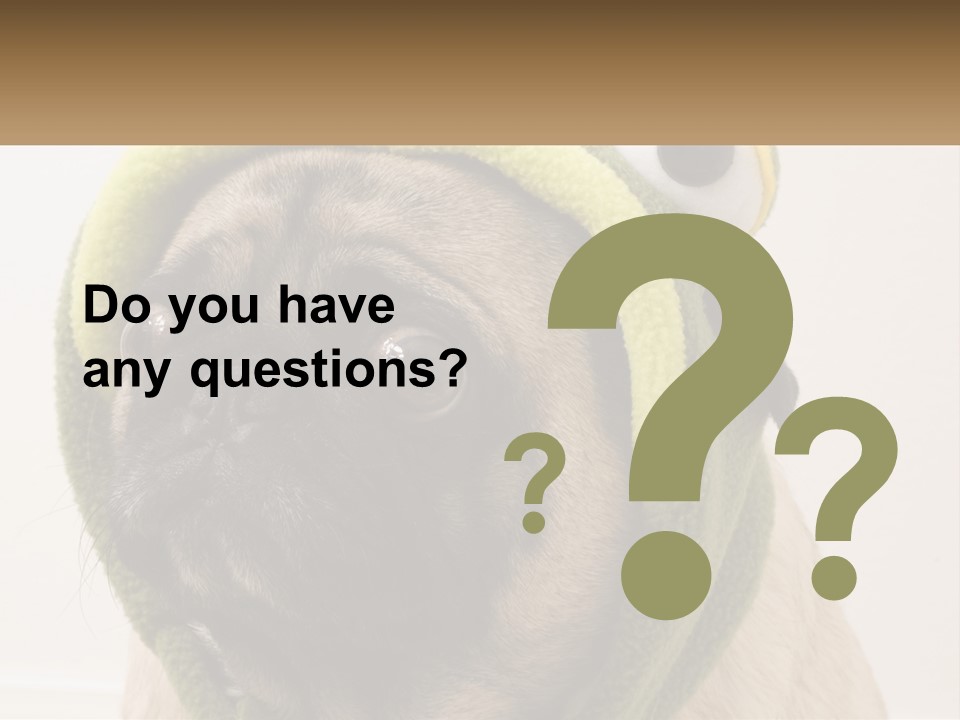 A Small Pug Dog Wearing A Towel With Eyes PowerPoint Template