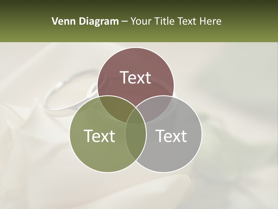 Two Wedding Rings Sitting On Top Of A White Rose PowerPoint Template