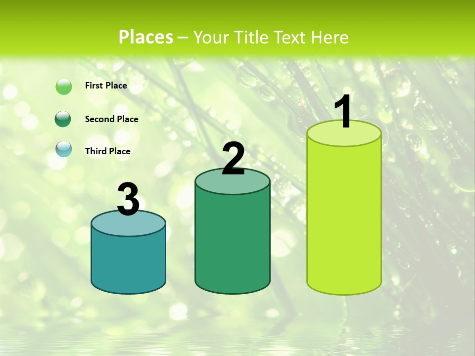 A Green Grass With Water Drops On It PowerPoint Template