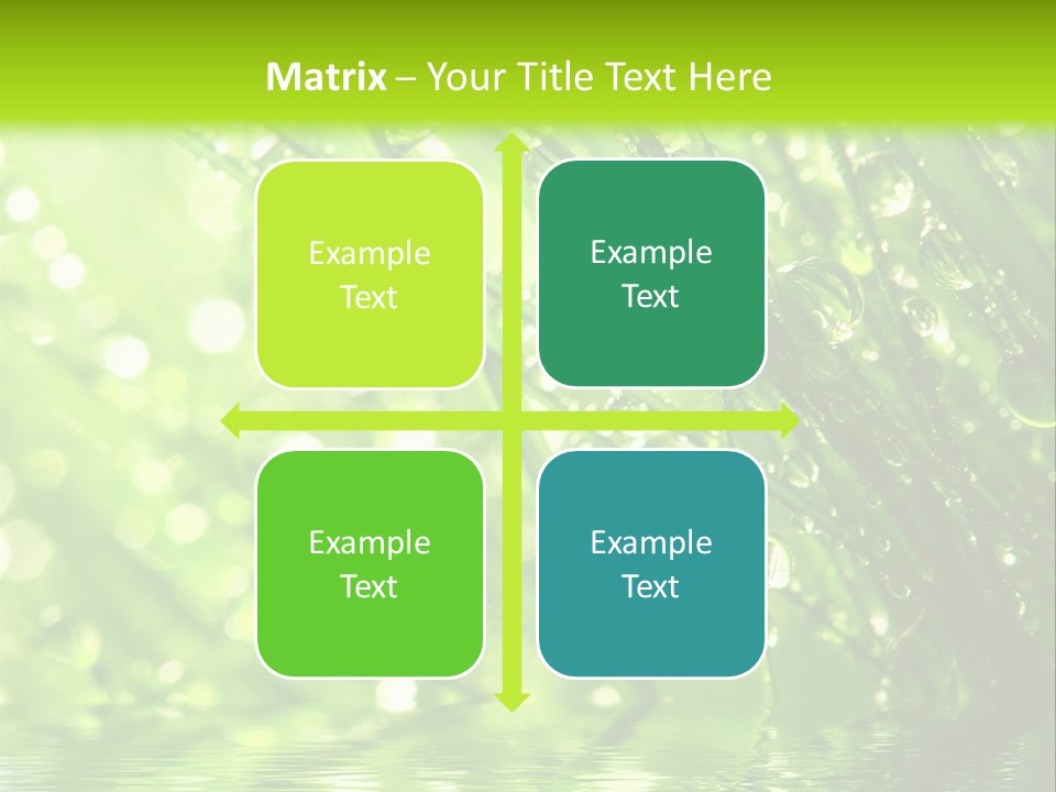 A Green Grass With Water Drops On It PowerPoint Template