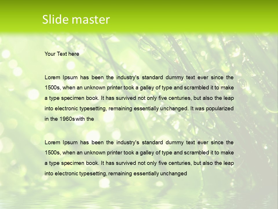 A Green Grass With Water Drops On It PowerPoint Template