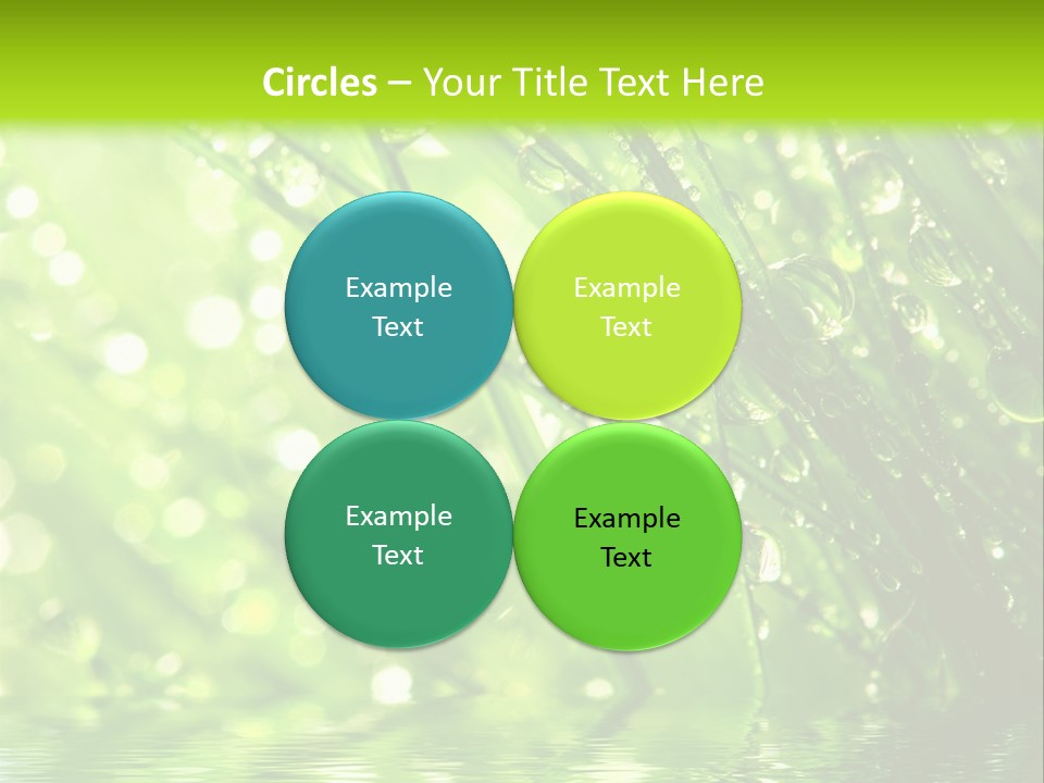 A Green Grass With Water Drops On It PowerPoint Template