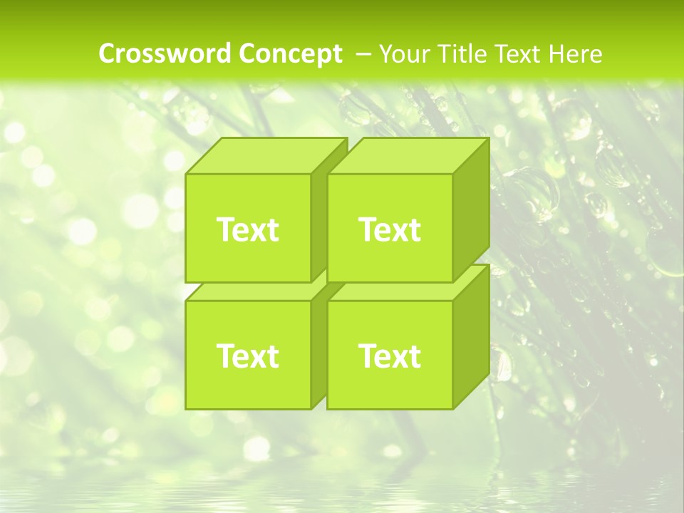 A Green Grass With Water Drops On It PowerPoint Template