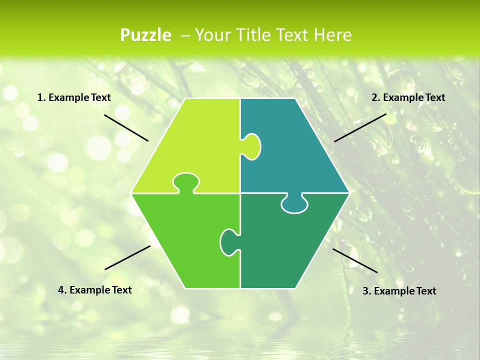 A Green Grass With Water Drops On It PowerPoint Template