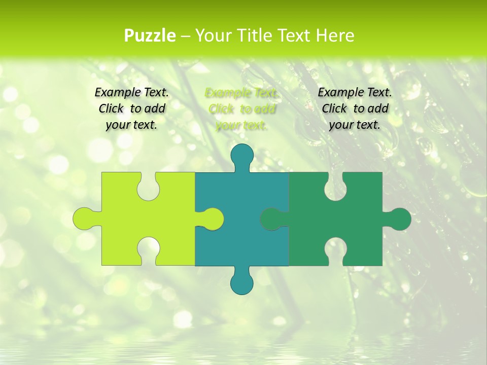 A Green Grass With Water Drops On It PowerPoint Template