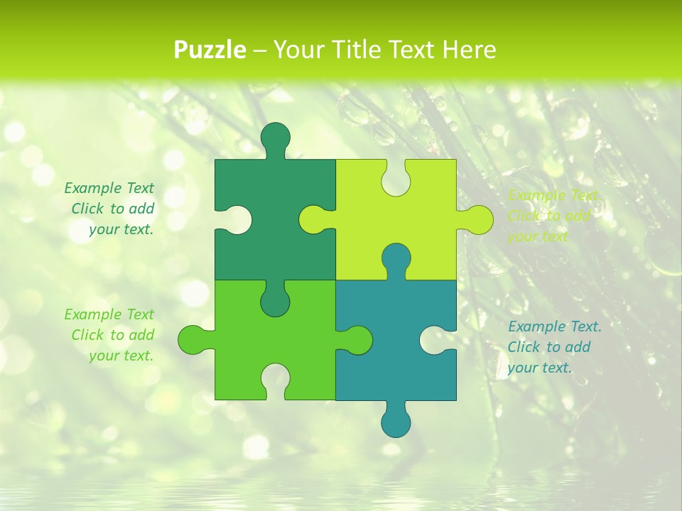 A Green Grass With Water Drops On It PowerPoint Template