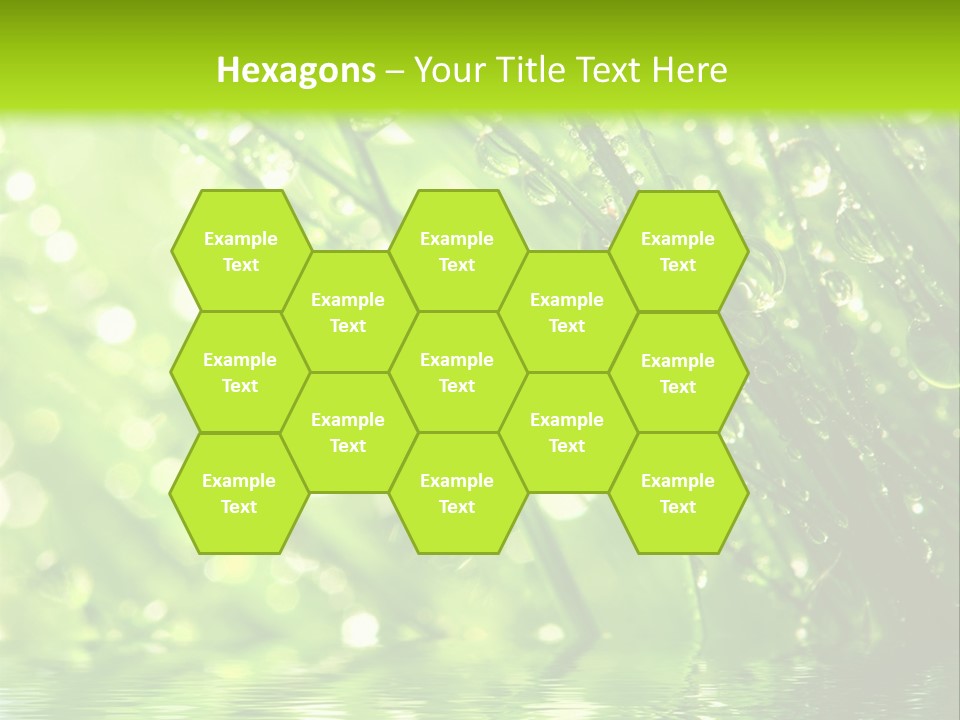 A Green Grass With Water Drops On It PowerPoint Template
