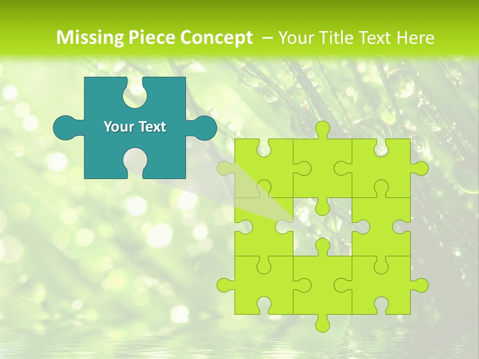 A Green Grass With Water Drops On It PowerPoint Template