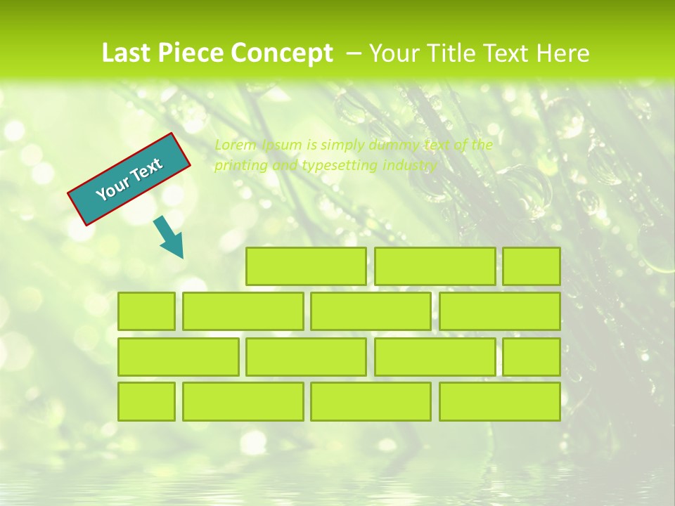 A Green Grass With Water Drops On It PowerPoint Template