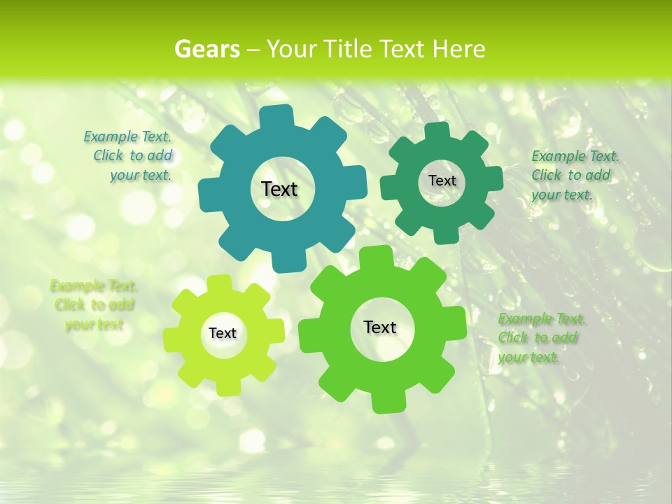 A Green Grass With Water Drops On It PowerPoint Template