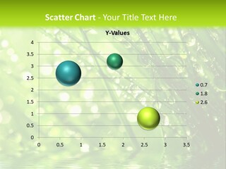 A Green Grass With Water Drops On It PowerPoint Template