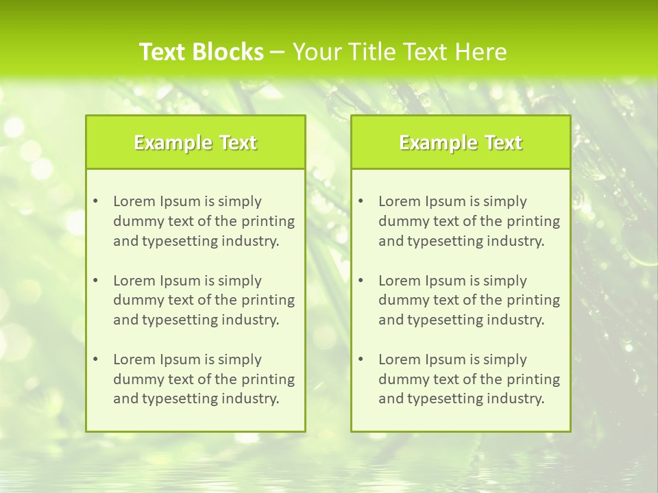 A Green Grass With Water Drops On It PowerPoint Template