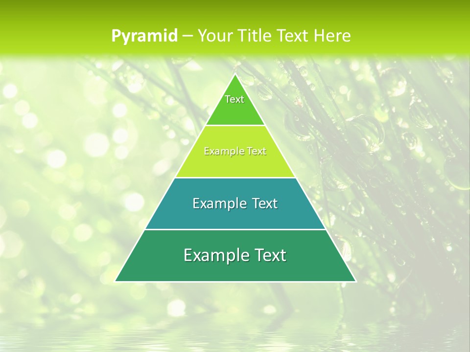A Green Grass With Water Drops On It PowerPoint Template