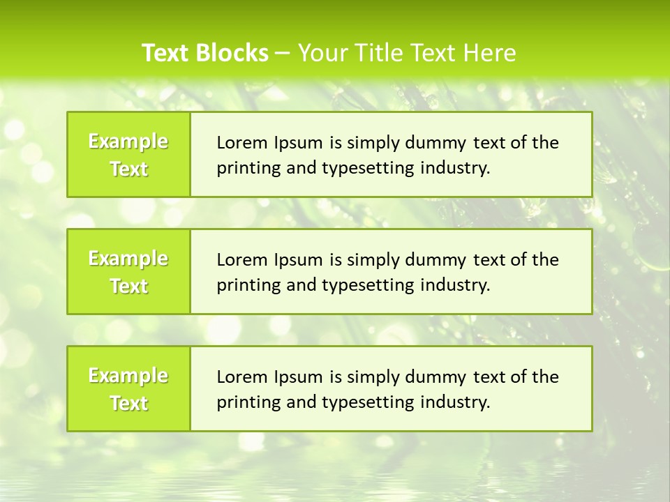 A Green Grass With Water Drops On It PowerPoint Template