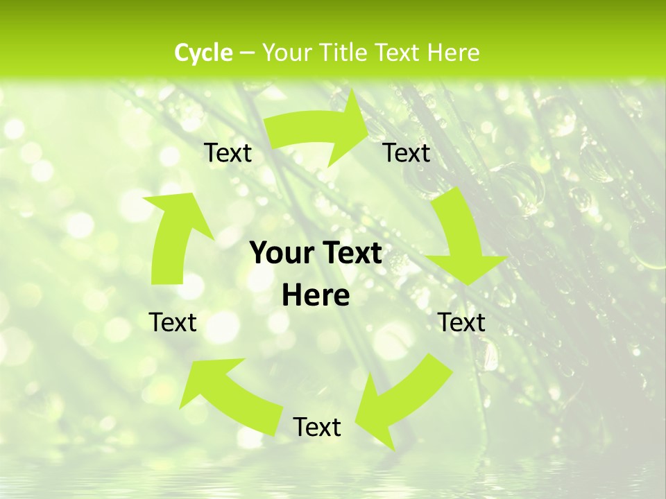 A Green Grass With Water Drops On It PowerPoint Template