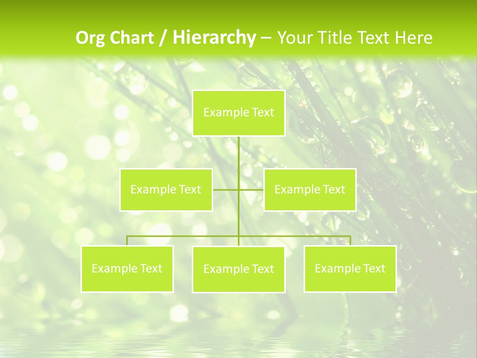 A Green Grass With Water Drops On It PowerPoint Template