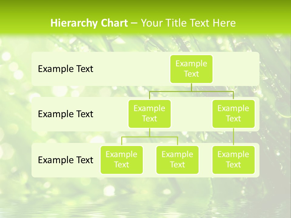 A Green Grass With Water Drops On It PowerPoint Template
