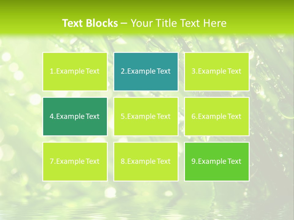 A Green Grass With Water Drops On It PowerPoint Template