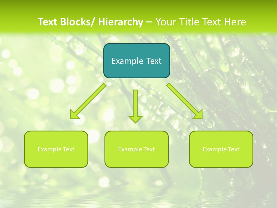 A Green Grass With Water Drops On It PowerPoint Template