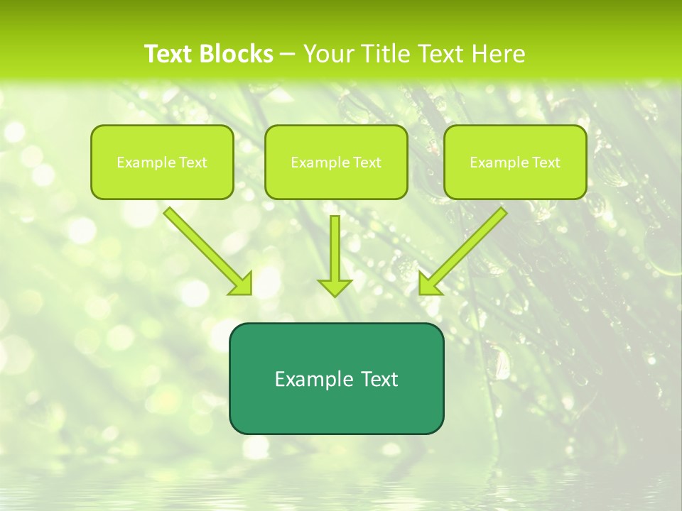 A Green Grass With Water Drops On It PowerPoint Template