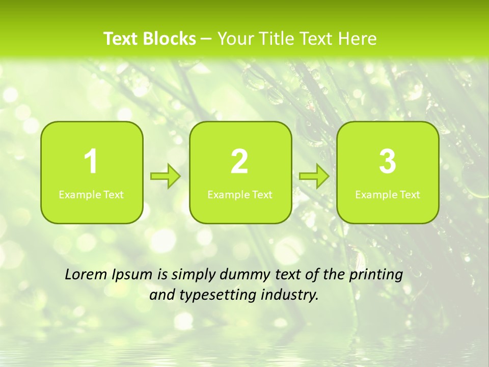 A Green Grass With Water Drops On It PowerPoint Template
