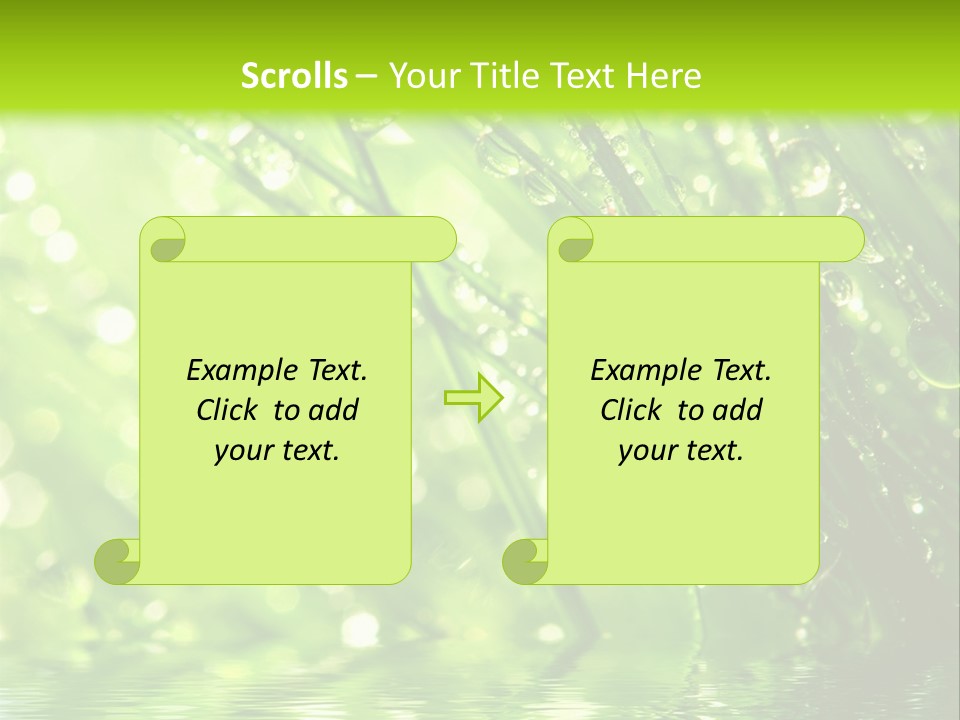 A Green Grass With Water Drops On It PowerPoint Template