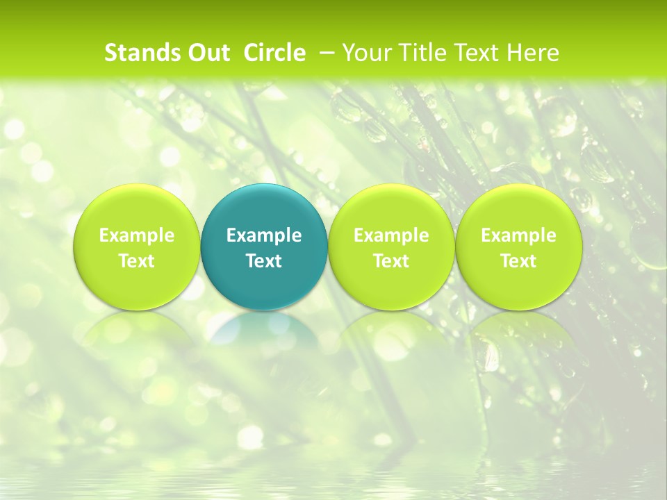 A Green Grass With Water Drops On It PowerPoint Template