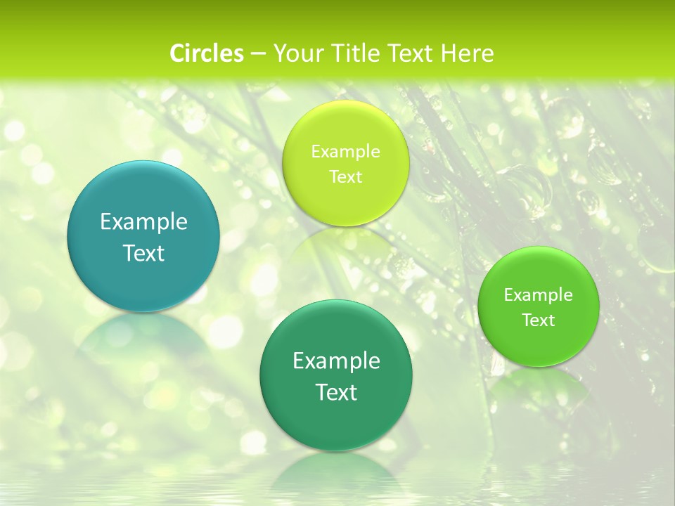A Green Grass With Water Drops On It PowerPoint Template