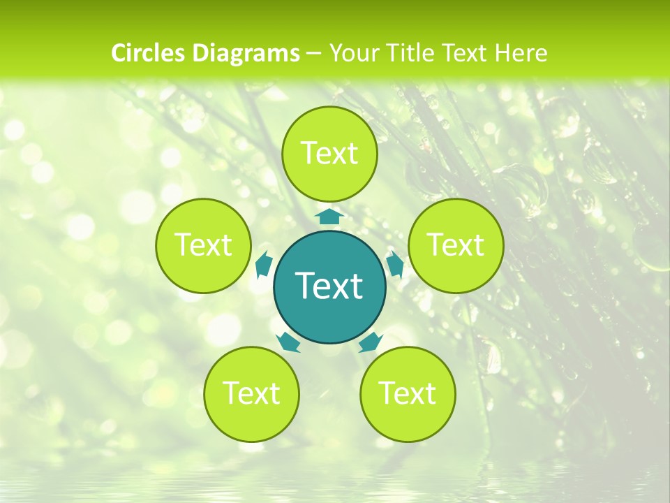 A Green Grass With Water Drops On It PowerPoint Template