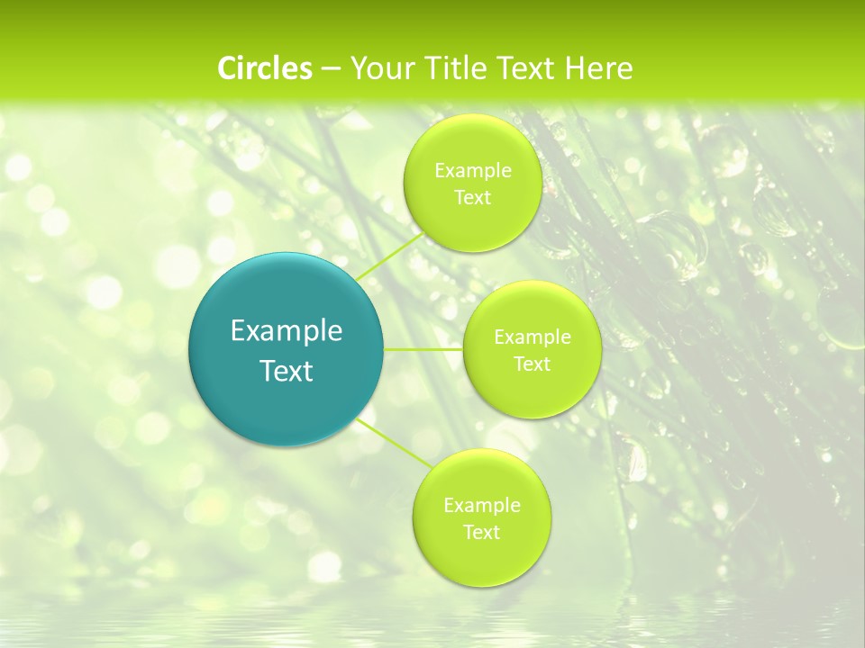 A Green Grass With Water Drops On It PowerPoint Template