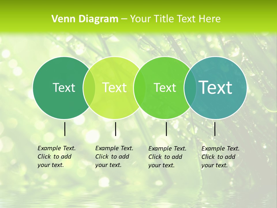 A Green Grass With Water Drops On It PowerPoint Template