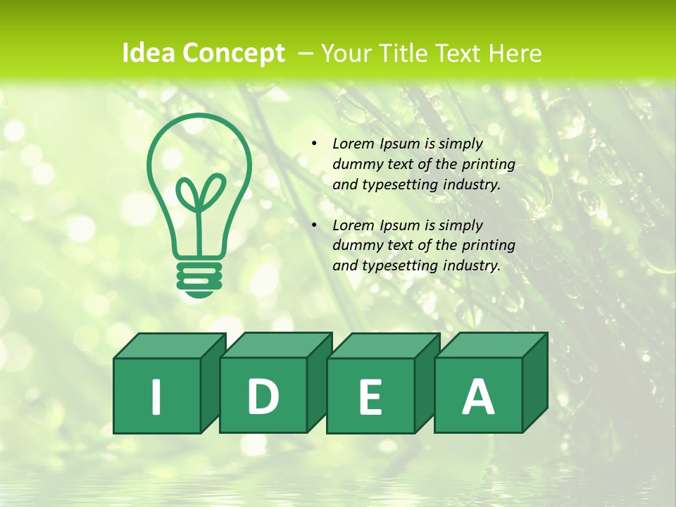 A Green Grass With Water Drops On It PowerPoint Template