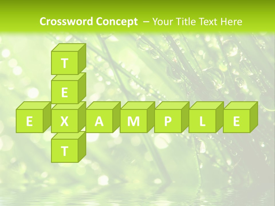 A Green Grass With Water Drops On It PowerPoint Template