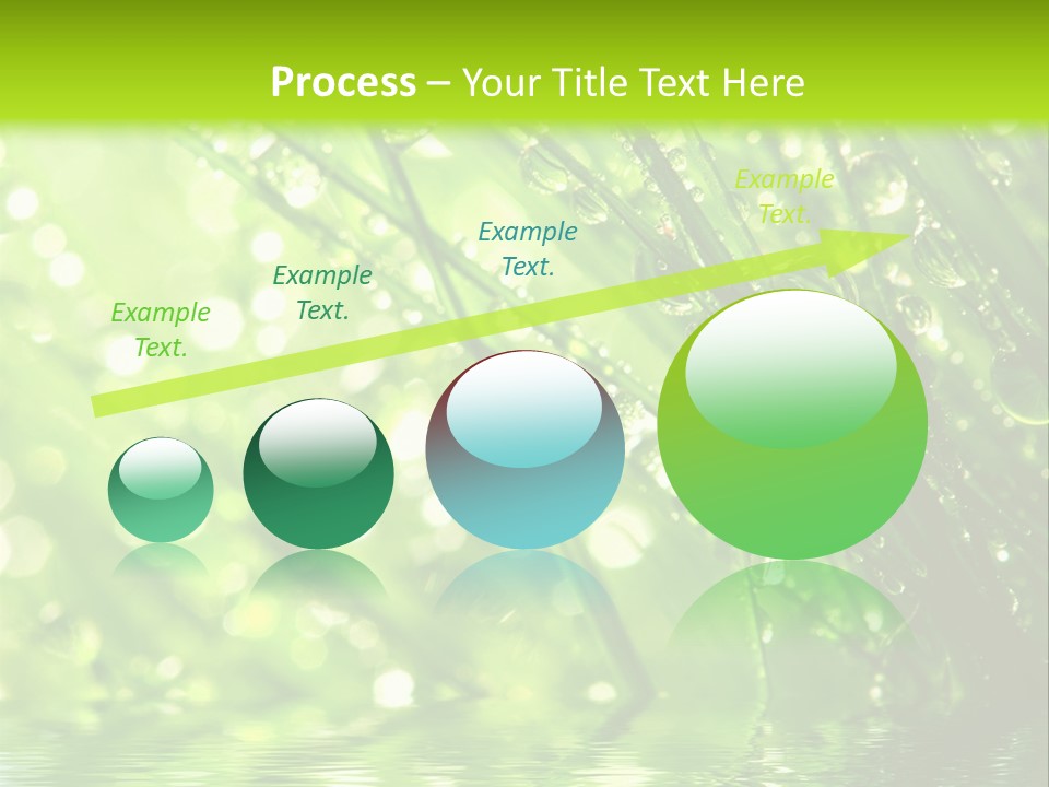 A Green Grass With Water Drops On It PowerPoint Template