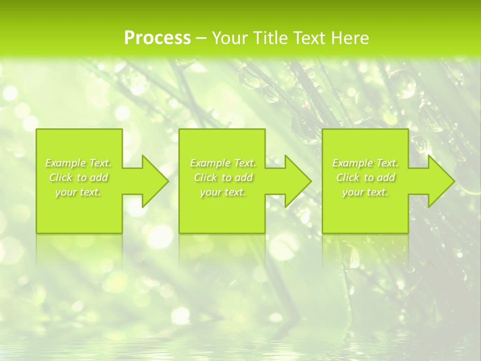 A Green Grass With Water Drops On It PowerPoint Template