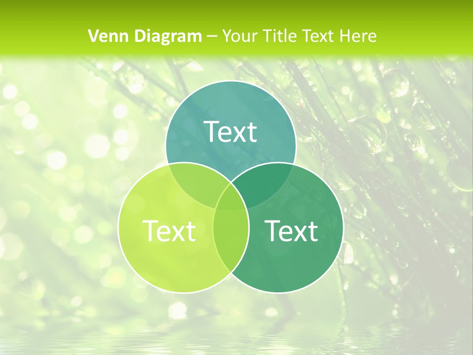 A Green Grass With Water Drops On It PowerPoint Template