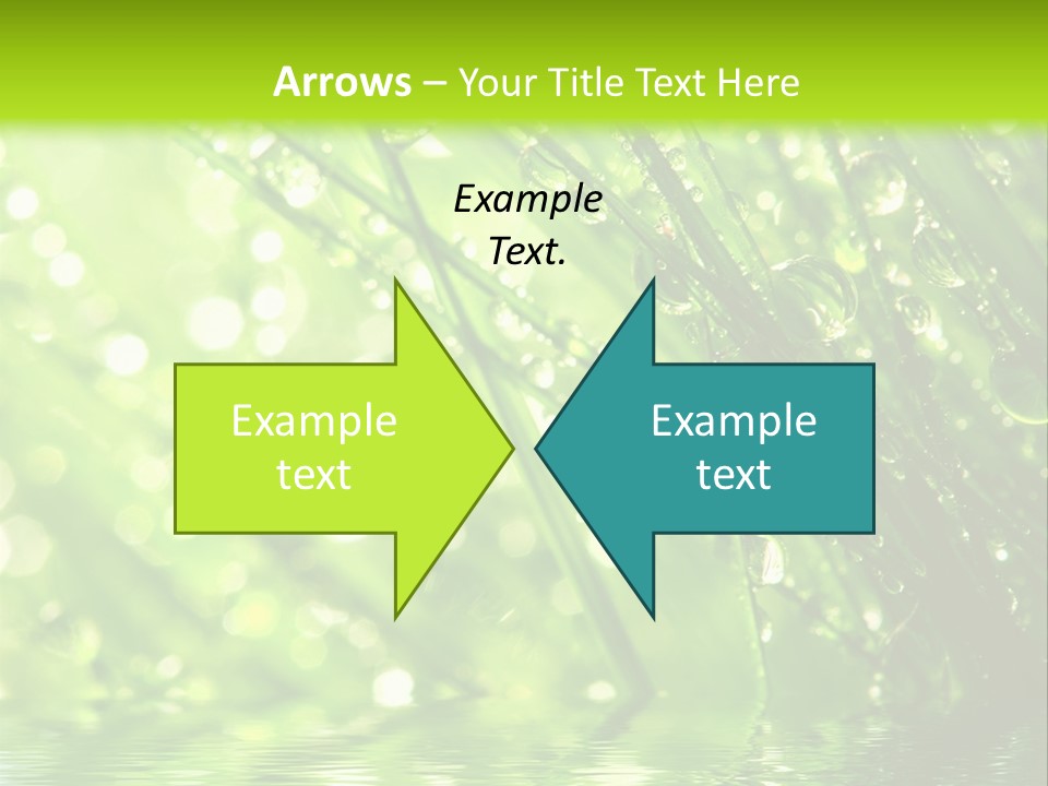 A Green Grass With Water Drops On It PowerPoint Template