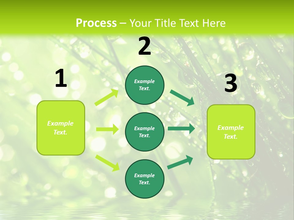 A Green Grass With Water Drops On It PowerPoint Template